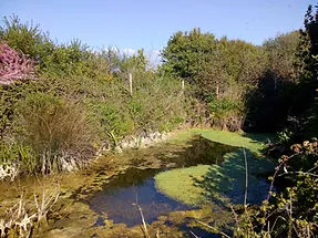 IMG_20210423_171041.jpg