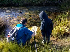Inventaire participatif des mares