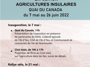 Émission du CDA n°5 : le RAIA installe son exposition Quai du Canada 